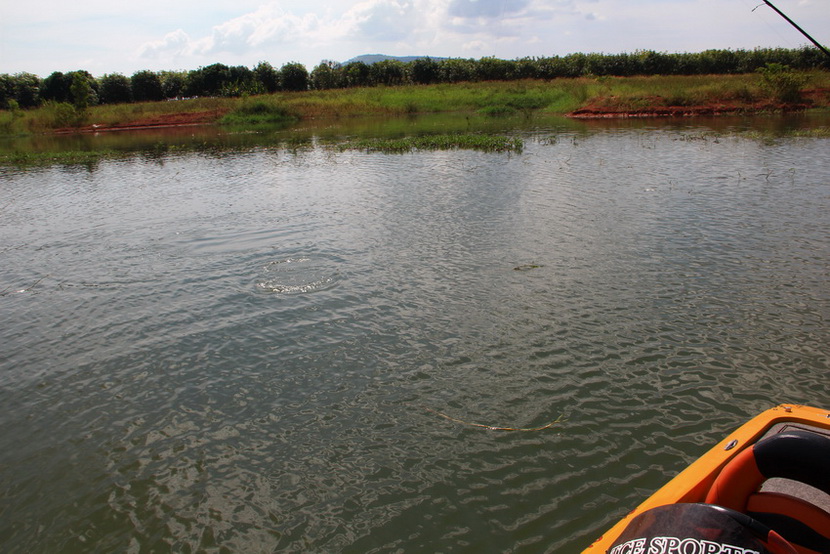  [b]เราเลาะเรือ ตีเหยื่อหาปลาจร ปลาป่า มาเรื่อยๆ  ปลากัดเบ็ดดีมาก  ได้ปลามาอีกตัว[/b]  :love: