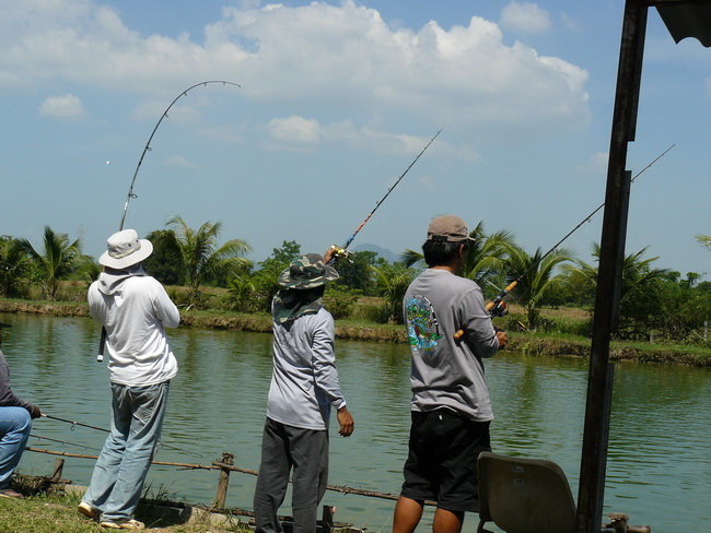 ปลาซ้าย ปลาขวา บอกกันได้ครับเพื่อนักตกปลากันทั้งนั้น :grin: :grin:
