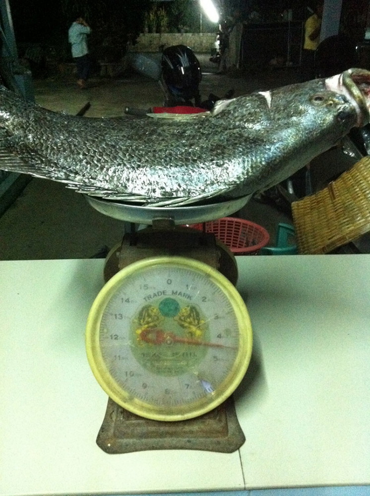 ไปชังมา ที่บ้านน้าต๊ะ ครับ 4.3 กล.