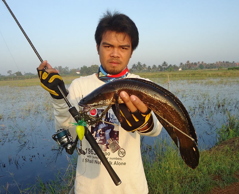 จัดไป..อีกรูป  กับ  " โครงการปลาตัวแรก "  ของ เจ้าหนึ่งเค้า   :grin: :grin: :grin:

 :cheer: :ch
