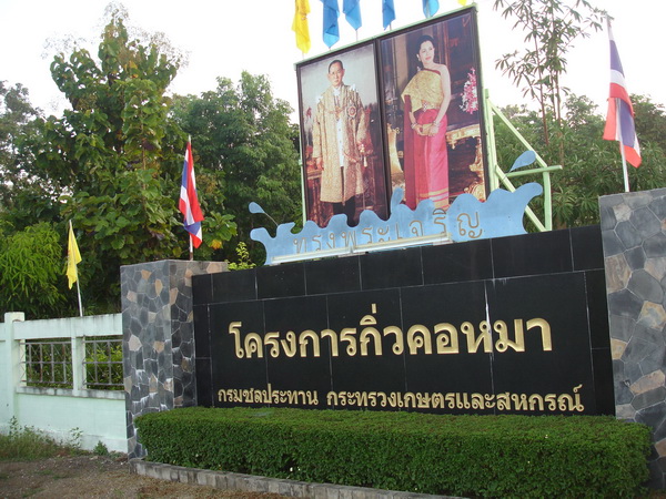โครงการกิ่วคอหมา