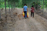 ตามหนูมาทางนี้นะคะ
