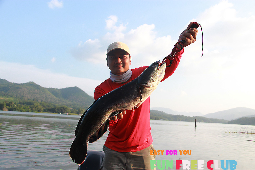 

โปรเบิดรจัดมาช่วงเย็นอีกตัวครับ    :cheer: :cheer: