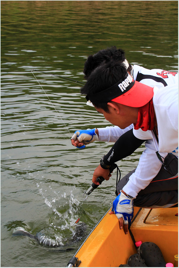  [b]เอ่อ....เทพฟีนิกซ์ ...เทพแสนตอขอช่วยคีบปลาหน่อยจะได้มั้ย [/b] :laughing: :laughing: :laughing: