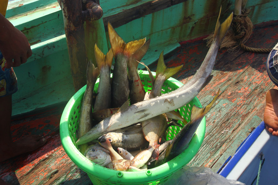  [b]ปลาสาก 5 หาง ปลาช่อน 2 หาง นอกนั้นกะมง ปลาจาน ปลาเล็ก . . . นับว่าปลาดีมากๆกับทริปที่ไม่มีเหยื่อ