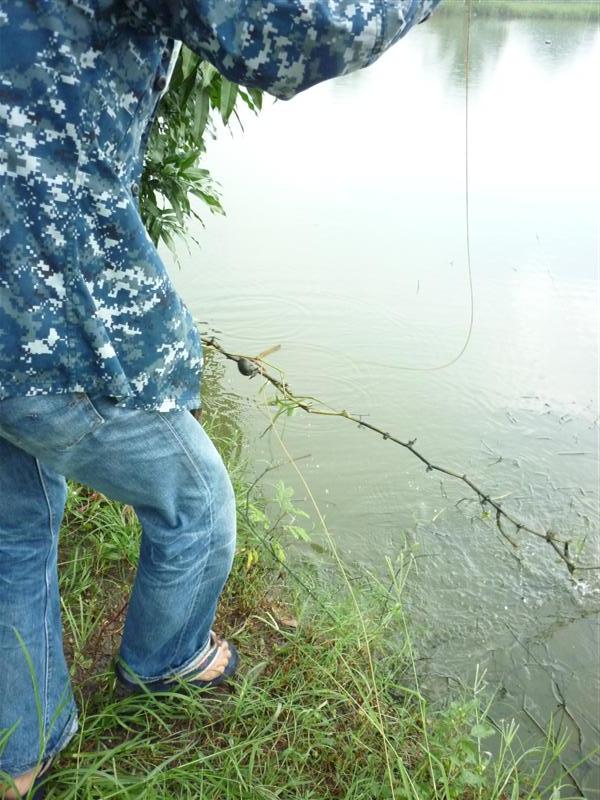                                ยังมีอีก......เจ้าตัวนี้นี่ สร้างปัญหาให้ผมเยอะเหลือเกิน  :laughing: