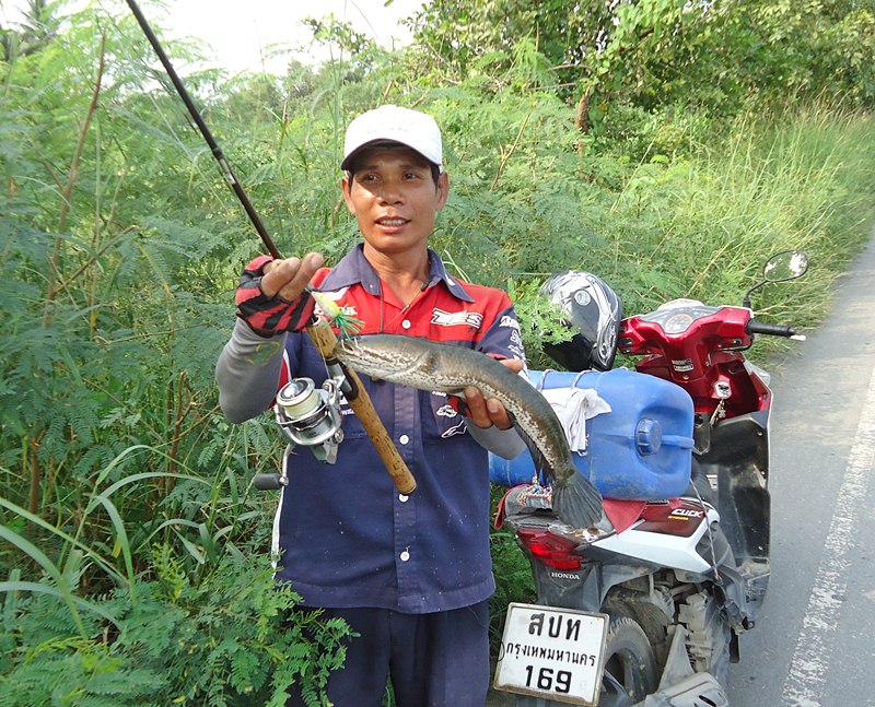 พี่ทุย..มาโชว์  [b]" ปลาบิน "[/b]   ที่หมายนี้ ครับผม !!!   :laughing: :laughing: :laughing:

 :