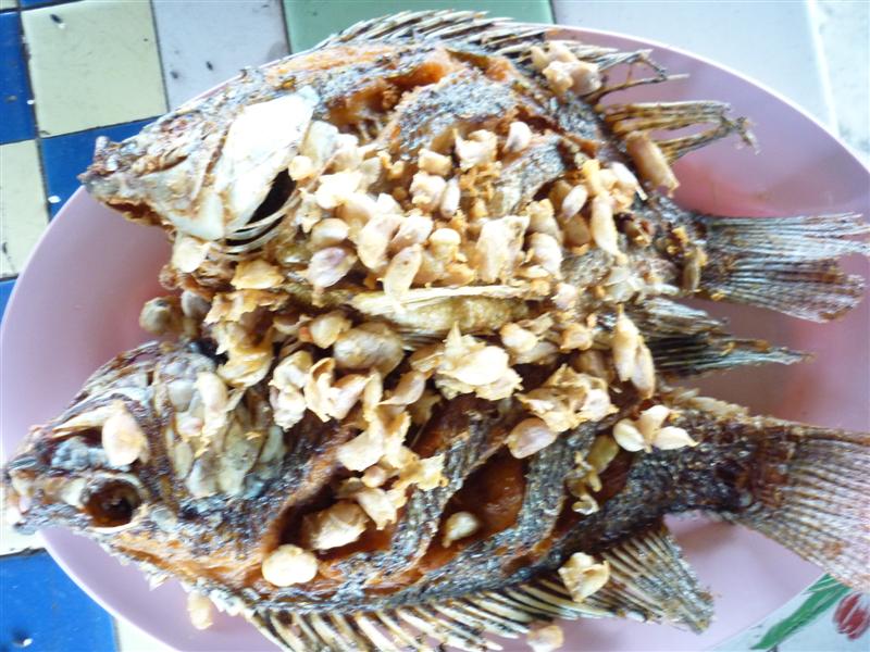                  เมนูแรก นิลทอดกระเทียม   :umh: