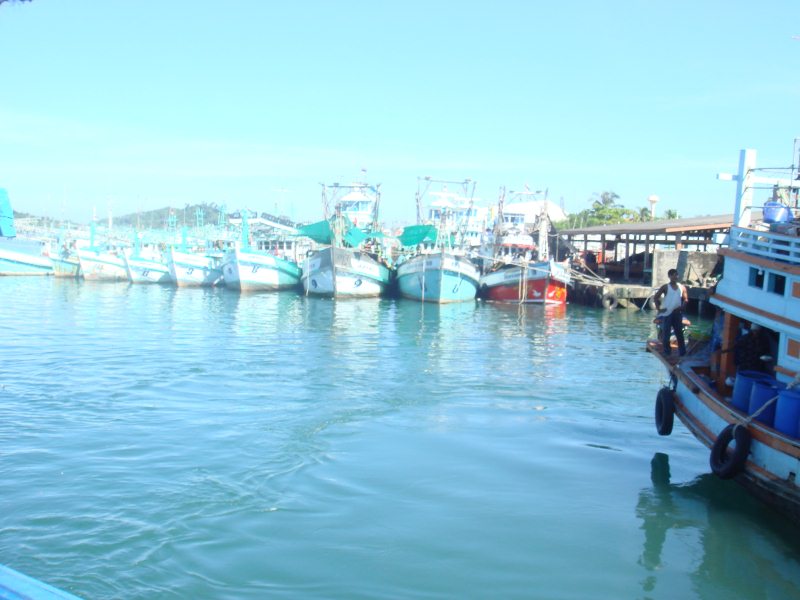ช่วยกันขอนของลองเรือ ขาดนุ้นลืมนี่ 