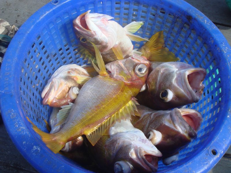 1 เข่งผ่านไป