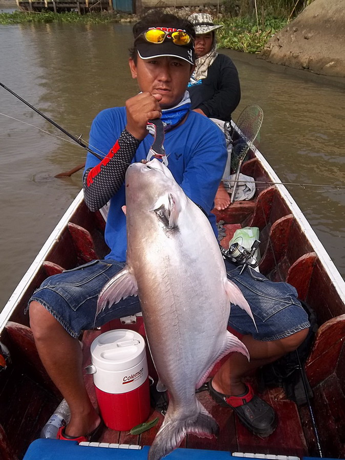 ลองของ