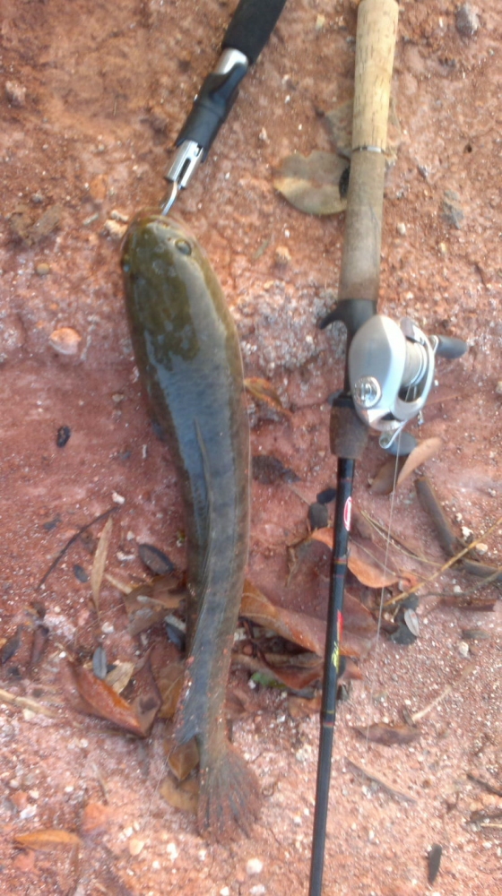 ถ่ายคู่กันหน่อย Daiwa Laguna คู่ใจ :grin: :grin: