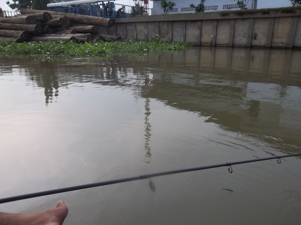  [center][b] [q]มีตัวขึ้นอยู่หลังจากจอดเรือสังเกตุการณ์อยู่นาน[/q][/b][/center]