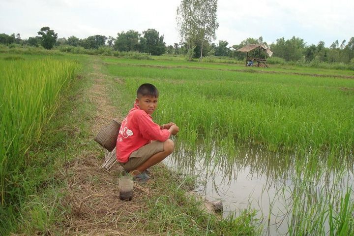 ส่งท้ายภาพนี้แล้วกันคร้าบ นี่แหละครับจุดกำเหนิดของการ
ตกปลาของผมครับขอขอบคุณทุกๆท่านที่ติดตามคร้าบ
