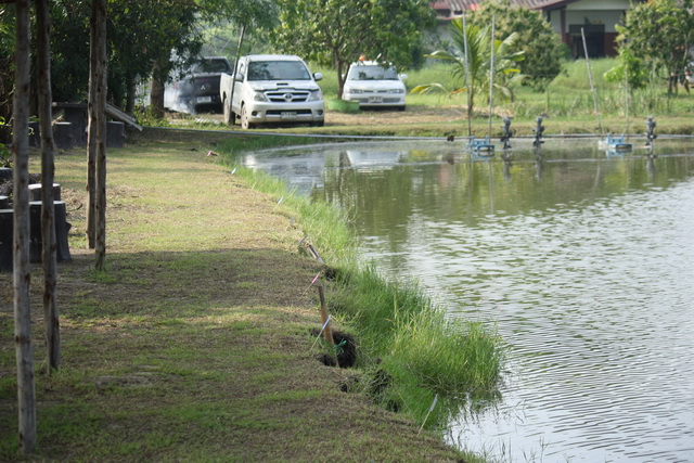 บรรยากาศภายในบ่อ

 :love: :love: :love: :love: :love: :love: :love: