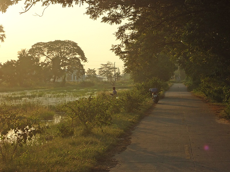  [b]" แดดทอแสง  เป็นสีทองสวย  ทั่วทุ่ง "[/b]    :love: :love: :heart: :heart: :heart: :love: :love