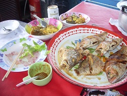 หายไปพอสมควรเนื่องจาก..............