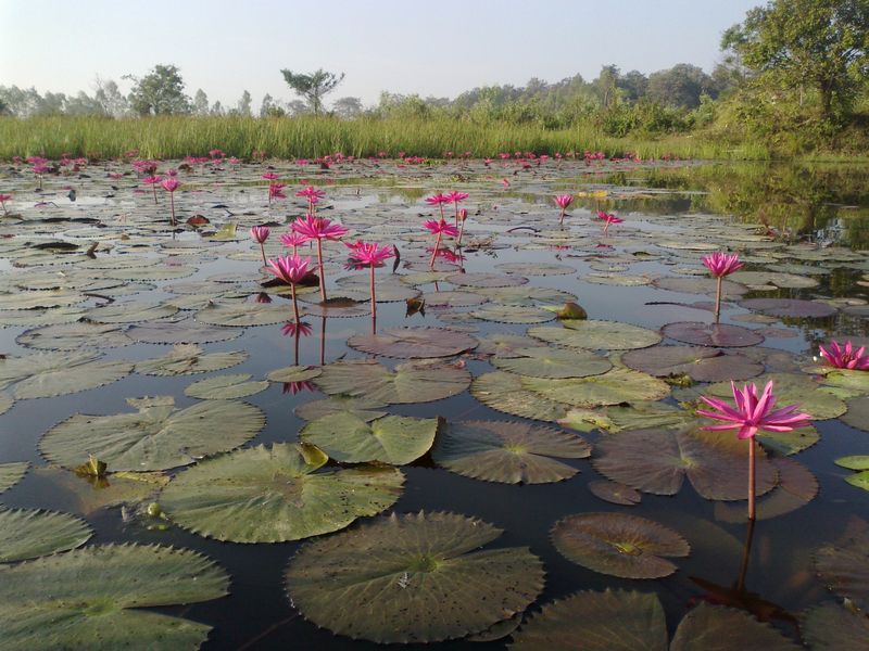 กบส่ายตูด เปี๊ยกเมืองนนท์ ปะทะ เนก บางพลี หวดด้วยยุทธสุรินทร์