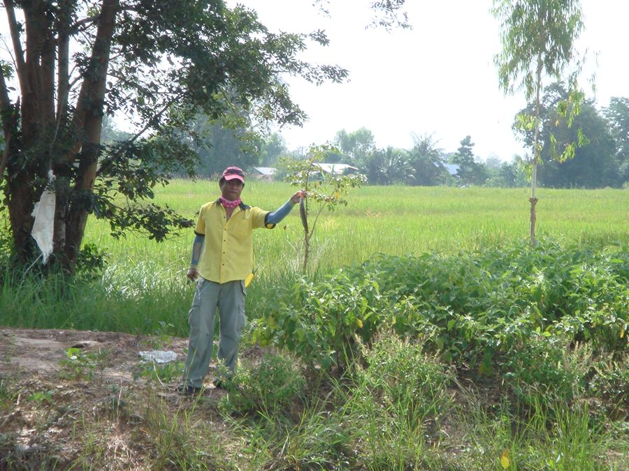 ทุกข์กระหน่ำ   ซัมเมื่อซ้ำซ้อน    :laughing: :laughing: :laughing: