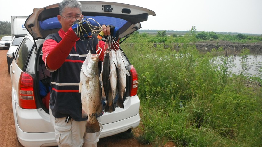 น้าโจฟิช     พอเพียงเหมือนกัน   ที่บ้านมีหลายคน  หลายตัวหน่อย :grin: