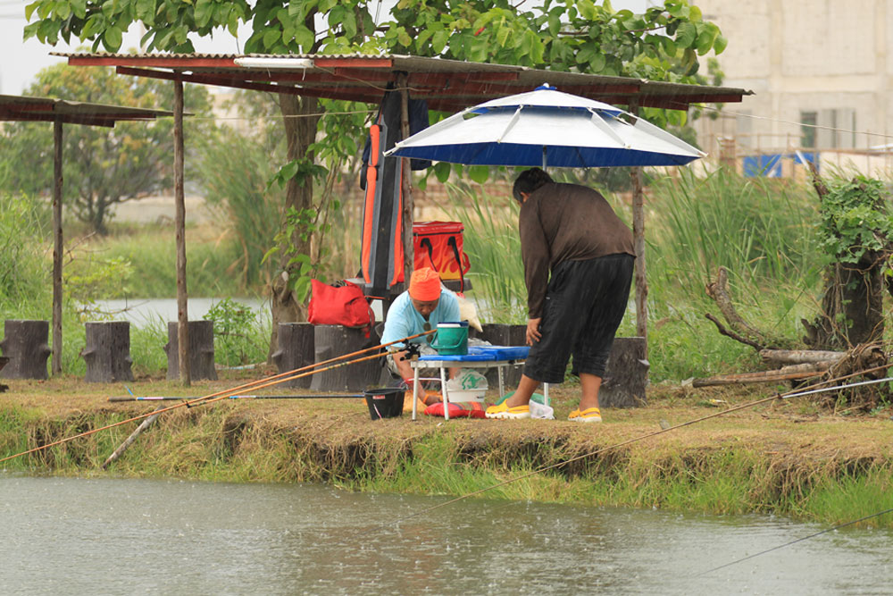 ปลาปุ้มปุ้ยครับ :love: