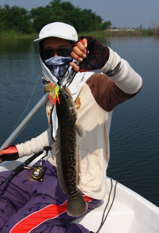 [q][i]อ้างถึง: fishing_777 posted: 07-11-2555, 20:34:14[/i]

อิจ ฉาก็ได้ :tongue: :tongue:[/q]

