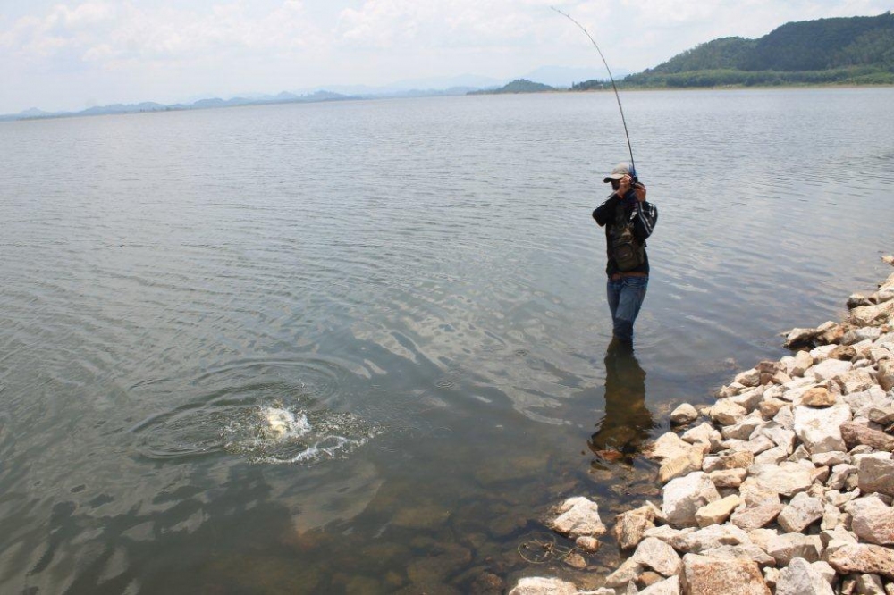 Tong fishingsyndome Team :cheer: :cheer: