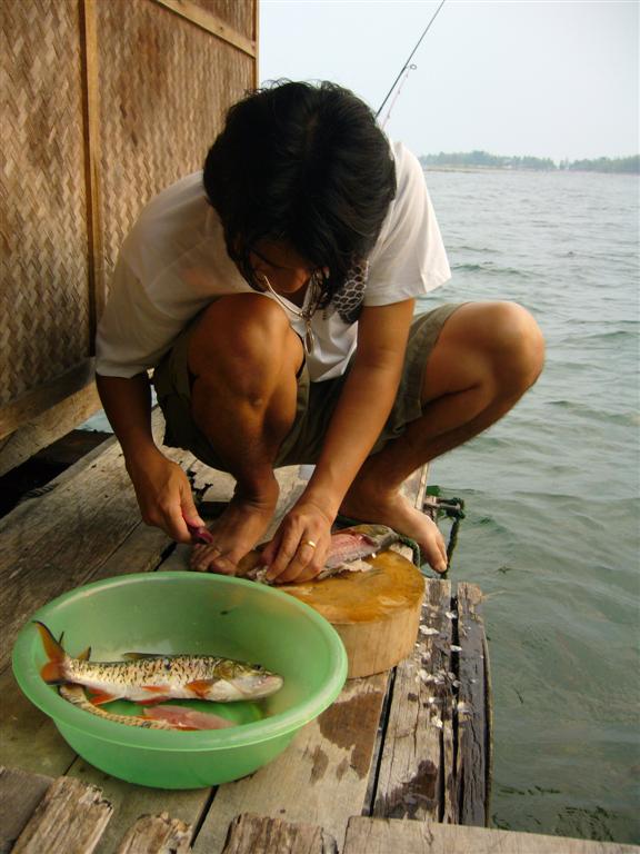 หนึ่งชีวิตตาย ให้หลายชีวิตรอด..
เคารพทุกชีวิตครับ...