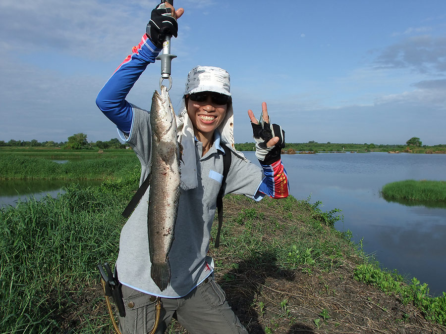 จัดไปให้หน่อยนึงครับ   :grin: :grin: :grin: :grin: :grin: :grin: