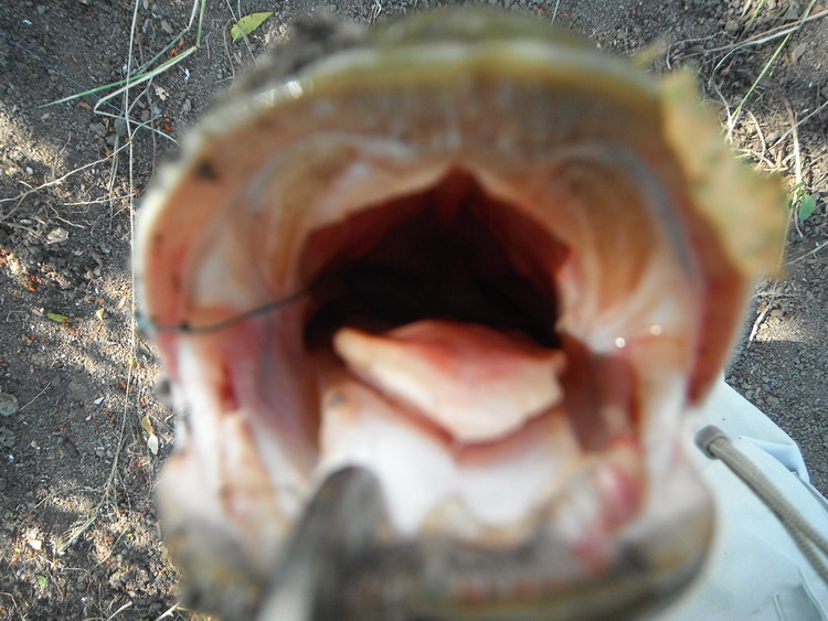 เอาอีกแระตรู นายศรีไม่อยู่ตรงนี้ด้วยซวยอ่ะดิกำ
 :laughing: :laughing: