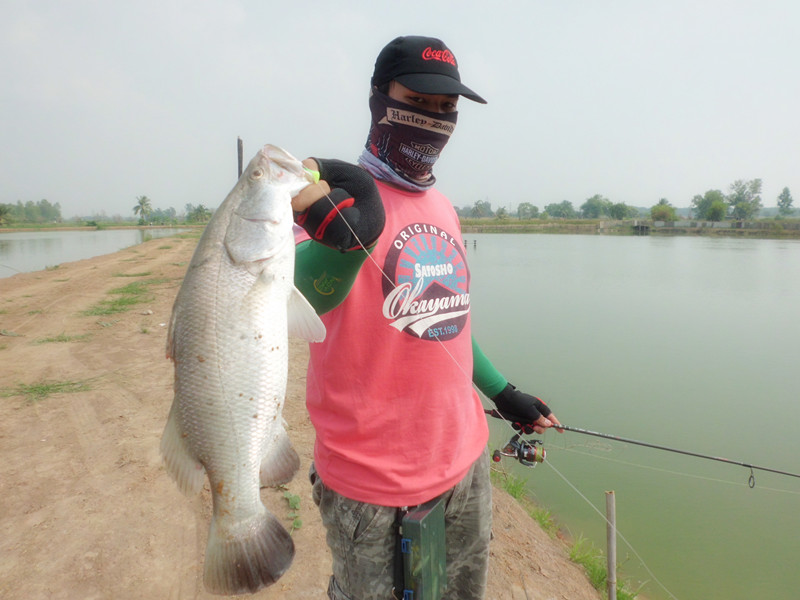 เดินตีอิกสักพักใหญ่...เต็ก็ได้กระะพงตัวเเรก


[q][i]อ้างถึง: TAO_Fishing posted: 11-11-2555, 20:0