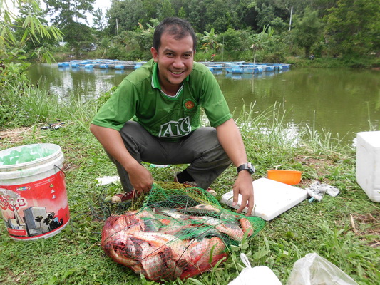 น้าหมู ได้ พอ ๆ กัน