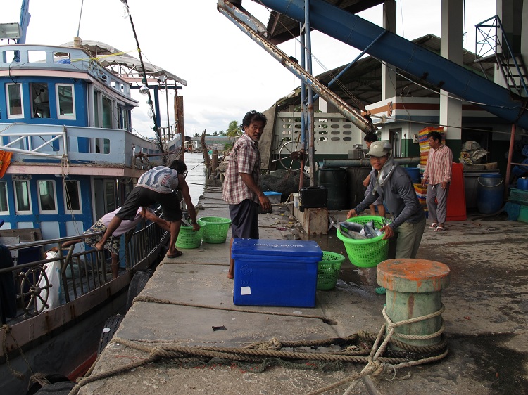 5  โมงเย็น  เรือเลดี้แพน เทียบท่าตลาดดอนสัก  ขน    ขนและช่วยกันขน