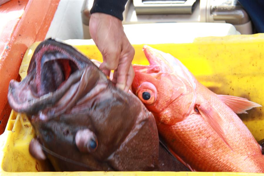 [b]ข้อความ[/b] [b]ข้อความ[/b] :grin: :grin: