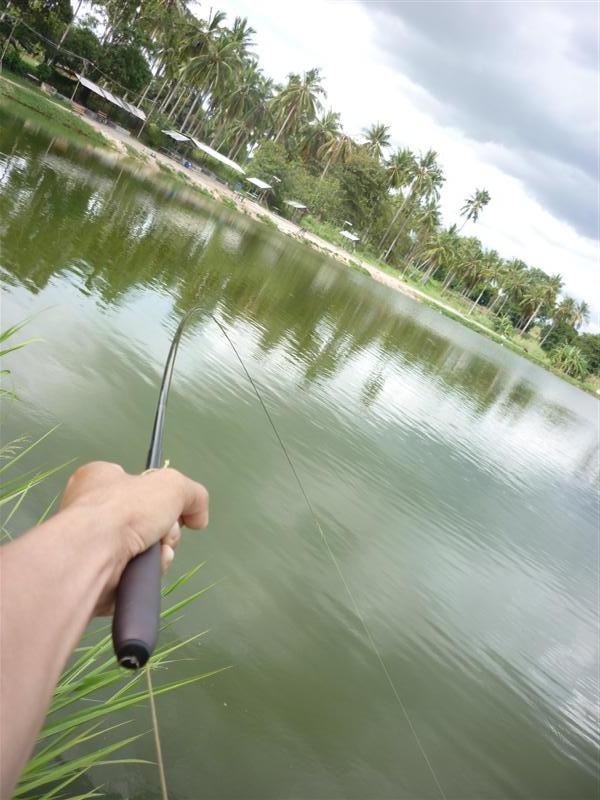                                        เจ้าหน่วยนี้สิครับ ตอดเบามาก และทำผมงงเลย