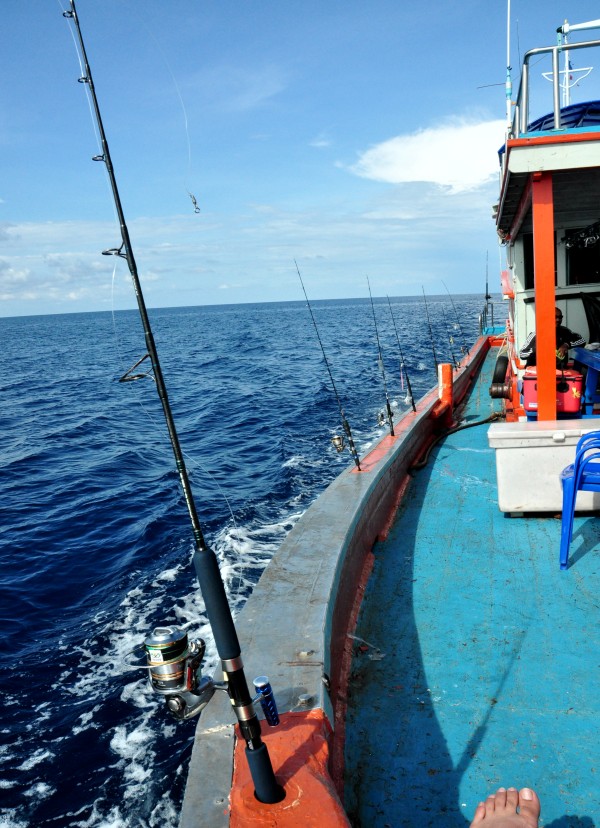 เรือวิ่งออกมาได้สักพัก หลังจากวงโม้แตก ก็ได้เวลาประกอบอุปกรณ์
ทำการเกษตร กันน่ะครับ ใครขนไรมาก็เอาอ