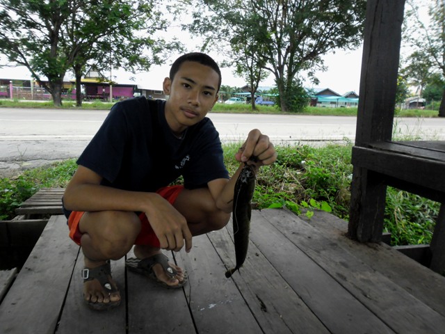  :grin: :grin: :grin: :grin: :grin: :grin: :grin:
000000000000000000000000000000000
สวัสดีครับน้า 