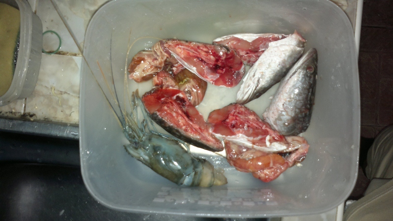 ส่วนหัวพุงปลาช่อนกับกุ้ง :love: :love: