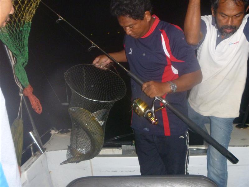 [q][i]อ้างถึง: fishingjoke posted: 16-11-2555, 13:08:04[/i]

 :cheer: :cheer: :cheer: :cheer: :che