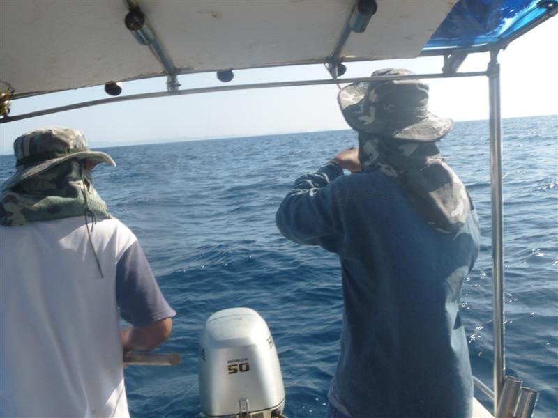 [q][i]อ้างถึง: Jak_Fishing posted: 16-11-2555, 16:20:11[/i]

 :grin:  :cheer: :cheer: :cheer:[/q]
