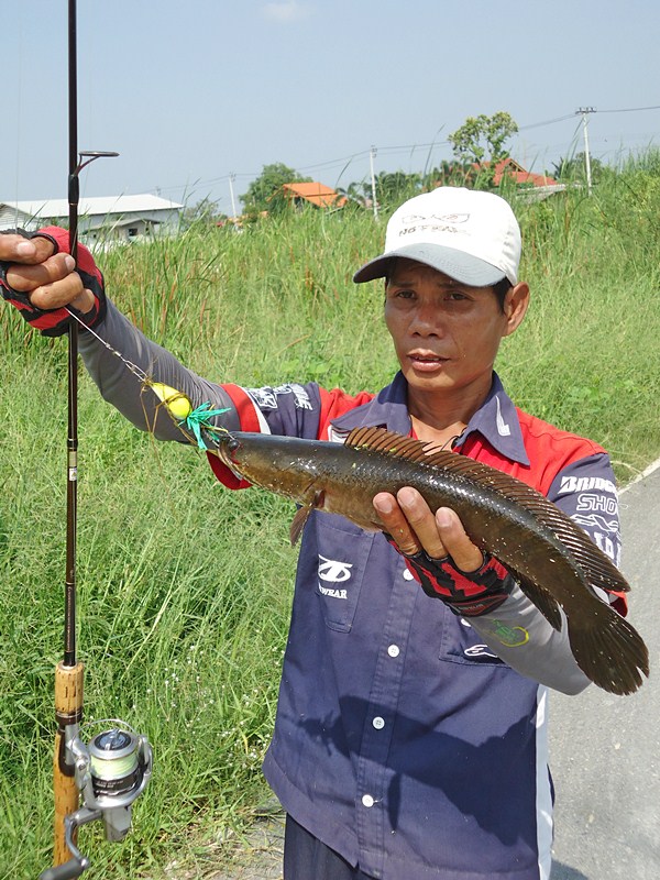อีกซักรูป จัดไป    :grin: