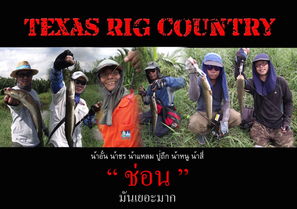 Texas Rig  Country  มันเยอะมาก