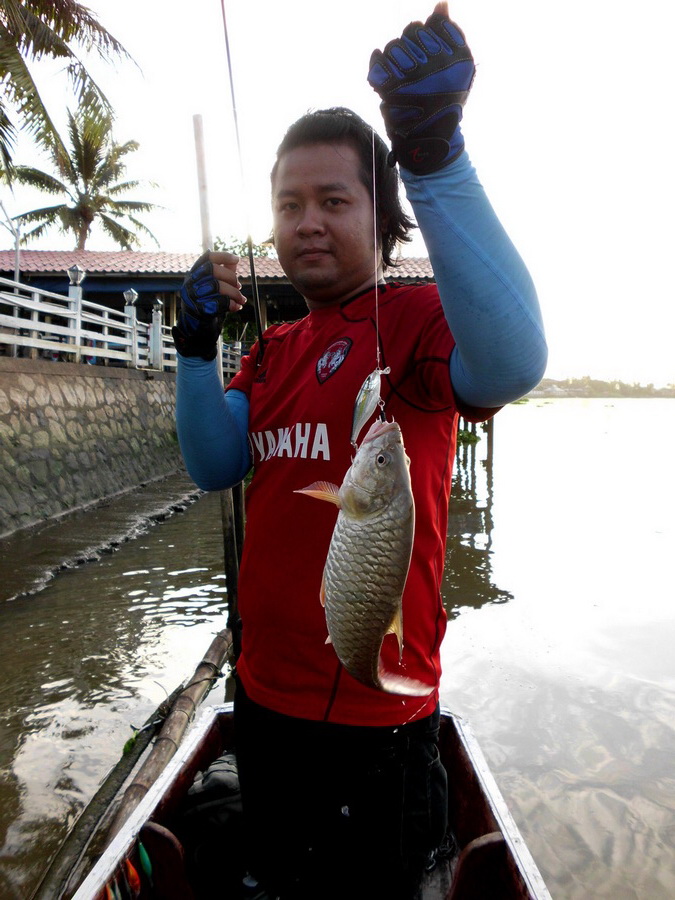  [center][b]จับขึ่นเรือมาโชตัวกันหน่อย[/b][/center]