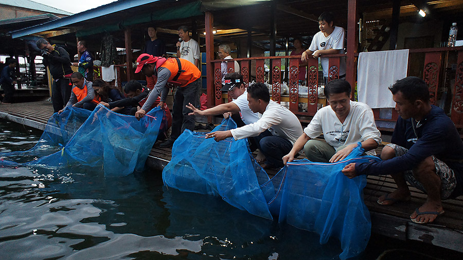 ช่วงเช้าวันอาทิตย์ก่อนปล่อยเรือ พันธ์ปลาที่พักไว้ให้แข็งแรงพร้อมแล้วที่จะถูกปล่อยคืนสู่ธรรมชาติ