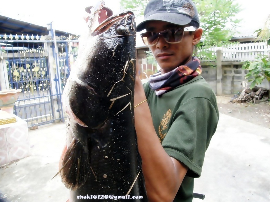 [b]ขอบคุณน้าทั้ง 5 ท่านที่แวะเข้ามาให้กำลังใจนะครับ[/b]
-------------------------------------------