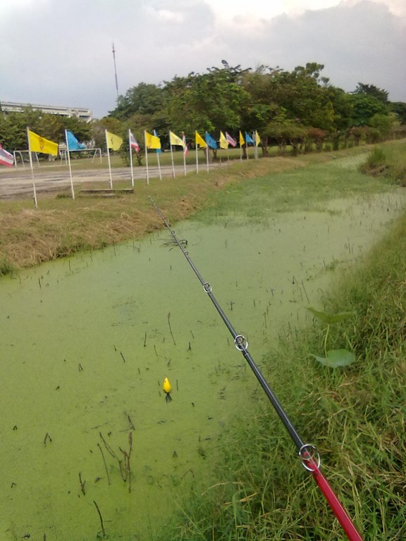 มาถึงหมายที่ว่าละครับ 