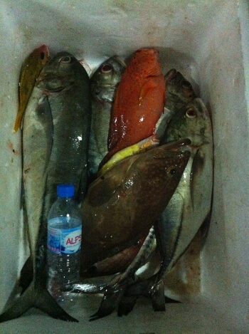ส่วนนี้ของผมครับ เด็กๆ