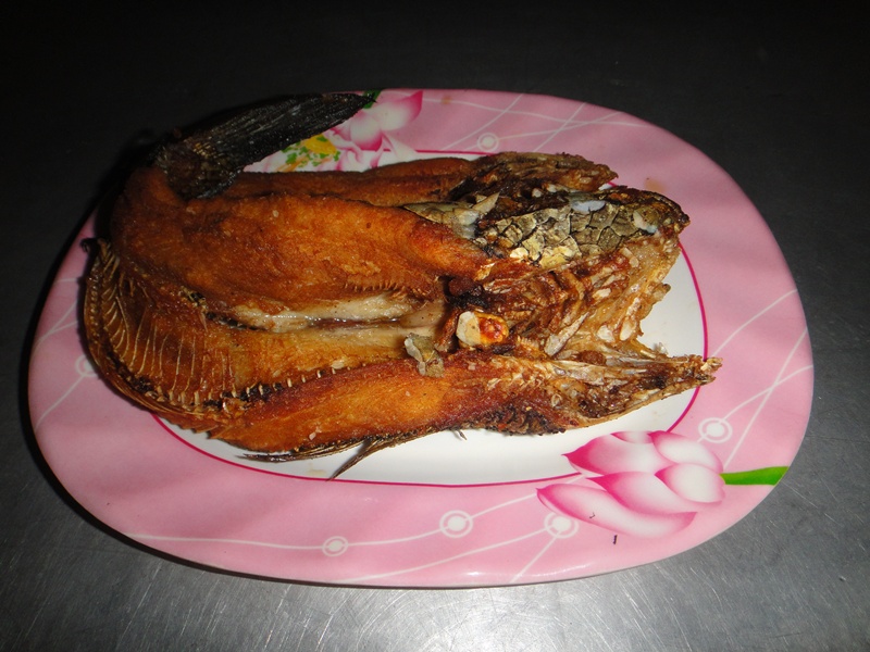 

               พรุ่งนี้ค่อยมาเปิดเมนูได้ป่ะ..วันนี้ติดธุระอีกและ.... :grin: :grin: :grin: :grin: