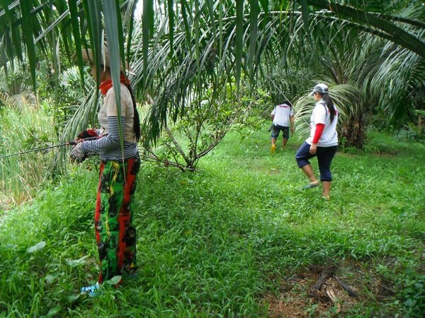                              ถึงกับหลบลี้ หนีหน้ากันเลยเว้ยเฮ้ย..... :laughing: :laughing: :laughin