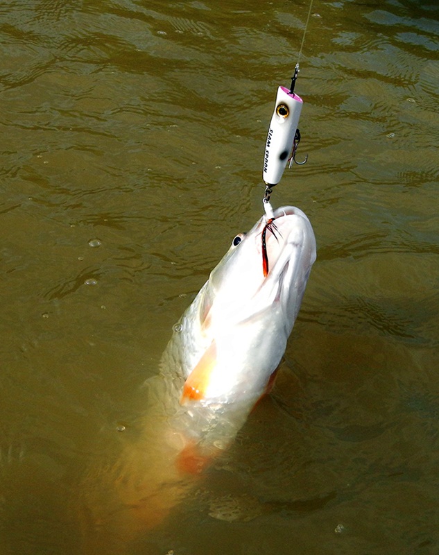 ...หลุด...ขาด..หัก... เสียงที่ตามมาจากหลังเรือ ( ผมเอง ) :cheer: